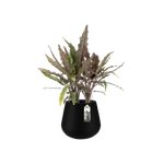 pure cone 45cm black